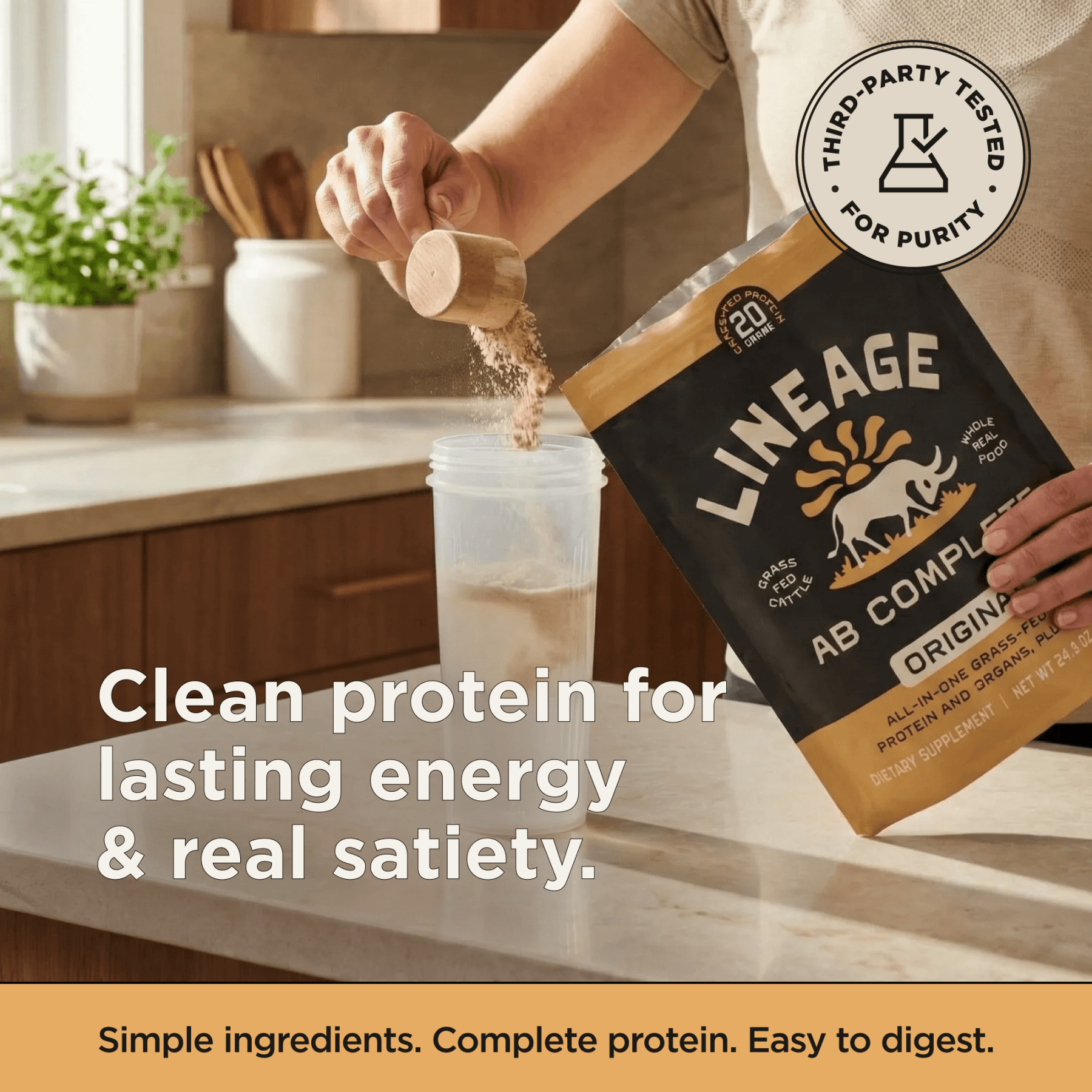 Animal-Based Complete Protein (Original)