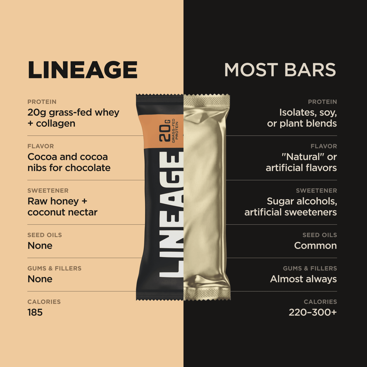 The Lineage Protein Bar (Chocolate) – Lineage Provisions