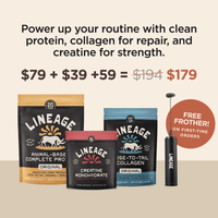 Clean Power Trio - Original